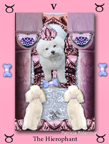 Patricia Ridenour_The Doggy Tarot_The Heirophant